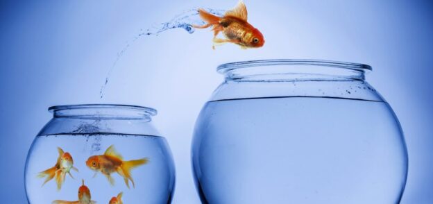 Communication Through Transition