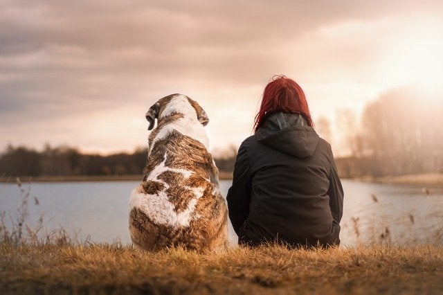 Dog and woman sit side by side