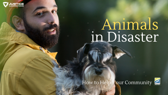 Animals in Disaster webinar
