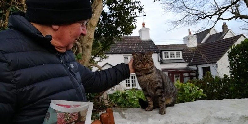 Man petting cat outdoors