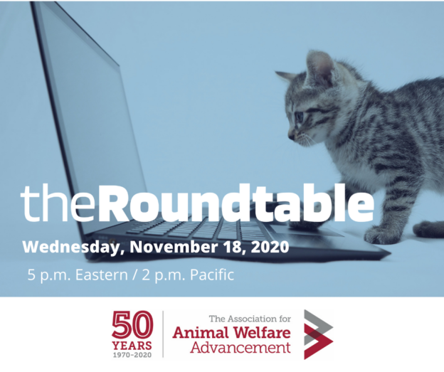 Online Event – 11/18/20 – The Roundtable: Technology Impacting Lifesaving in Animal Welfare – The AAWA