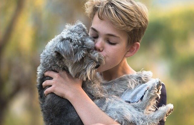 Kid boy hugging dog