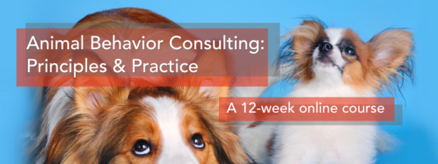 Online Course – Starts 5/8/24 – Animal Behavior Consulting: Principles & Practice – IAABC (fee applies)