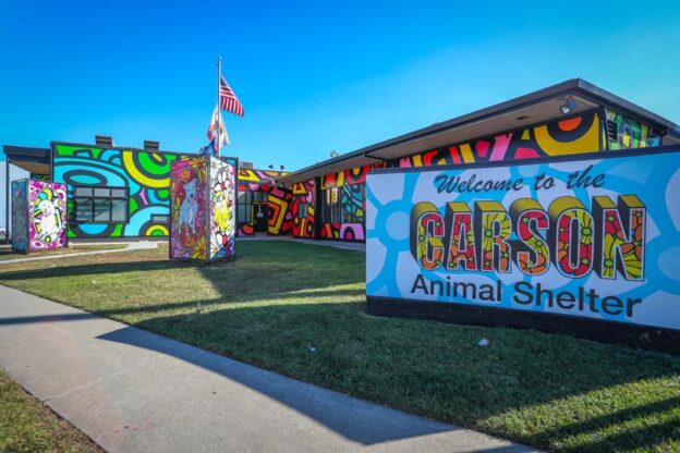 CASCAR Zoom Call for California Shelters – 1/21/21 – How LA County Launched Managed Intake – CASCAR – UC Davis KSMP