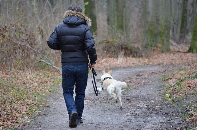 Man on trail with dog