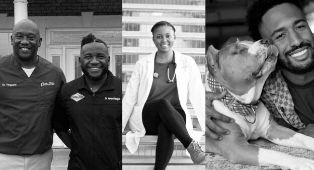 Online Event – 2/23/21 – Pathways to Veterinary School – CARE