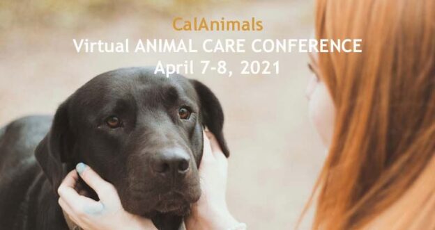 Online Conference – 4/7/21 to 4/8/21 – 2021 Virtual Animal Care Conference – CalAnimals and Maddie’s Fund (fee applies)