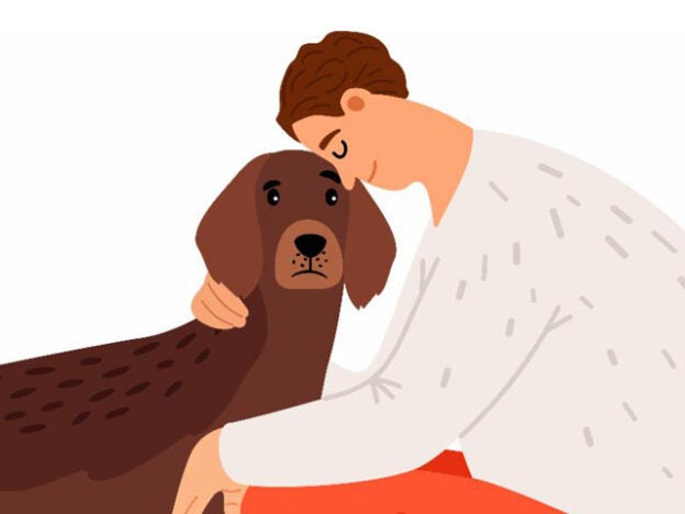 Webinar – 2/15/21 – MAC 2021 Webinar Series: Compassion Fatigue in Animal Welfare – Massachusetts Animal Coalition