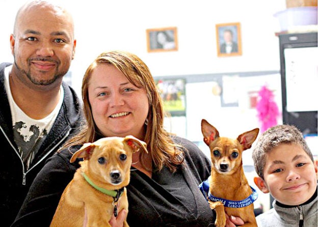 Webinar – 3/11/21 – Recruit, Re-engage, Renew: How to place more pets into foster homes right now! – Maddie’s Fund