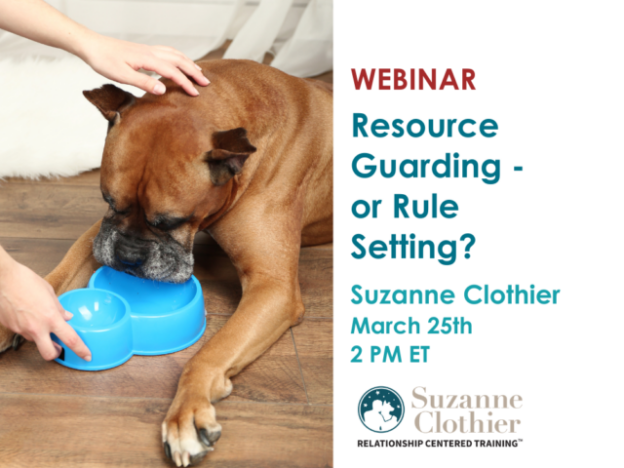 Webinar – 3/25/21 – Resource Guarding or Rule Setting – Suzanne Clothier (fee applies)