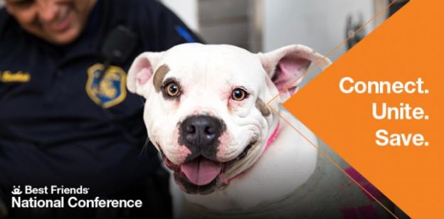 Online Conference – 6/23/21 to 6/24/21 – Best Friends National Conference – Best Friends (fee applies)