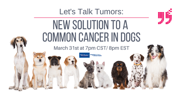 Webinar – 3/31/21 – Let’s Talk Tumors – The Bridge Club