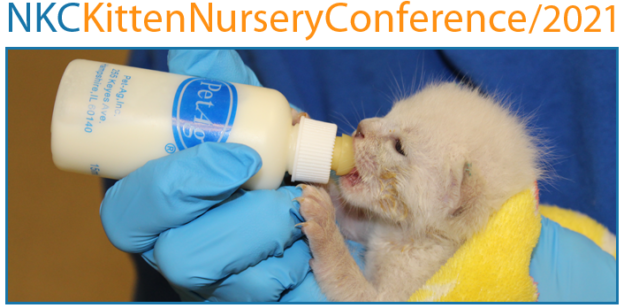 Online Conference – 3/27/21, 4/10/21, and 4/24/21 – NKCKittenNurseryConference/2021 – National Kitten Coalition (small fee applies)