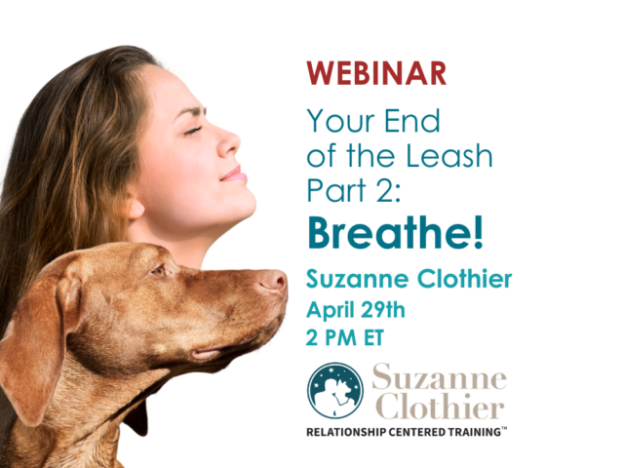 Webinar – 4/29/21 – Your End of the Leash Part Two: Breathe! It’s good for you (and your dog!) – Suzanne Clothier (fee applies)