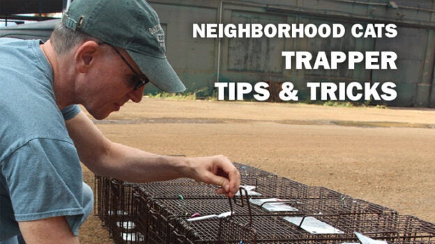Webinar – 3/20/21 – Trapper Tips & Tricks – Community Cats Podcast
