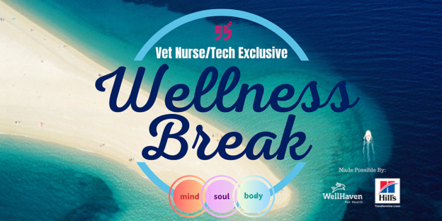 Online Event – 3/25/21 – Vet Nurse/Tech Exclusive Wellness Break – The Bridge Club