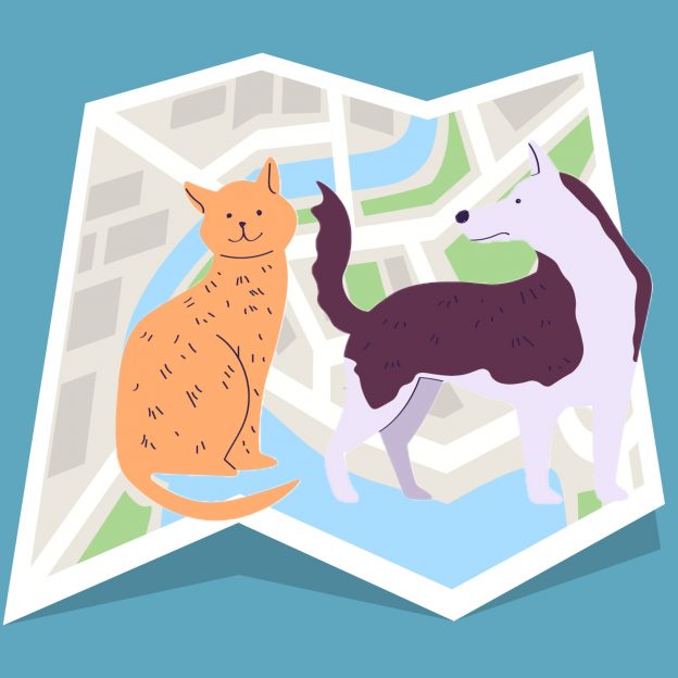 Webinar – 4/19/21 – Identifying Need for Spay/Neuter Services in Massachusetts: A GIS-based Analysis – Massachusetts Animal Coalition
