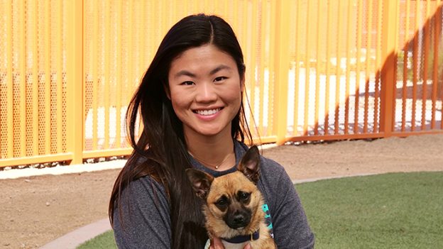 Online Event – 4/27/21 – Maddie’s® Candid Conversations Series – Ariel Zhang, Animal Foundation – Maddie’s Fund