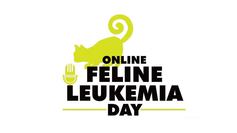 Community Cats Podcast presents Online Feline Leukemia Day