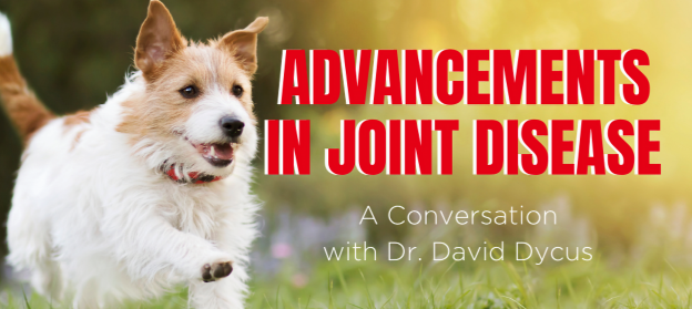 Online Event – 4/22/21 – Advancement in Joint Disease – The Bridge Club