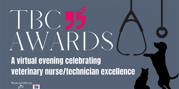 Online Event – 10/22/21 – TBC Awards – Honoring Veterinary Nurses/Technicians – The Bridge Club