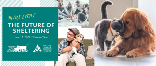 Online Event – 6/17/21 – Mini Event: The Future of Sheltering – Humane Canada (fee applies)