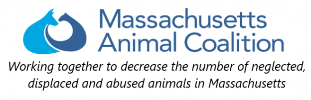 Webinar – 6/7/21 – MAC 2021 Webinar Series – The Future of Sheltering: Human Animal Support Services – Massachusetts Animal Coalition
