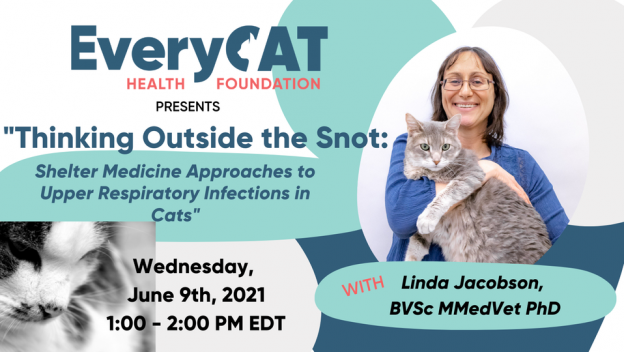 Webinar – 6/9/21 – Thinking Outside the Snot: Shelter Medicine Approaches to Upper Respiratory Infections in Cats – EveryCat Health Foundation
