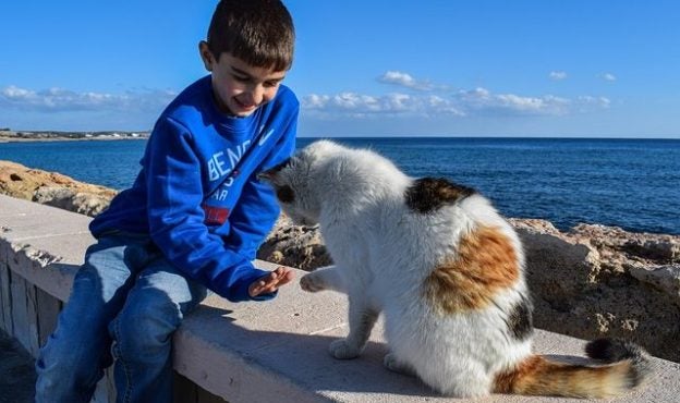 Addressing Concerns About Community Cats: How to Turn Controversy into Collaboration