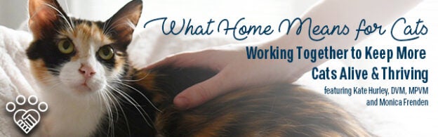 Webinar – 8/31/21 – What Home Means for Cats: Working Together to Keep More Cats Alive and Thriving – HASS