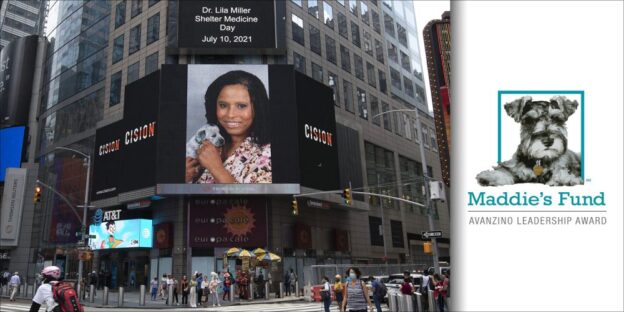 Online Event – 8/24/21 – Maddie’s Candid Conversation with Dr. Lila Miller – Maddie’s Fund