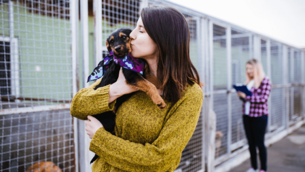 Online Event – 7/29/21 to 7/30/21 – Animal Welfare Summit – AAWA and Michelson Found Animals