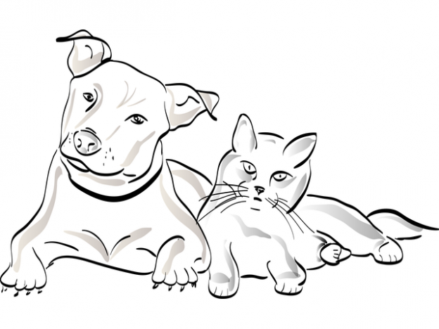 Webinar – 9/22/21 – Spay/Neuter: Integral to Access to Care – The AAWA