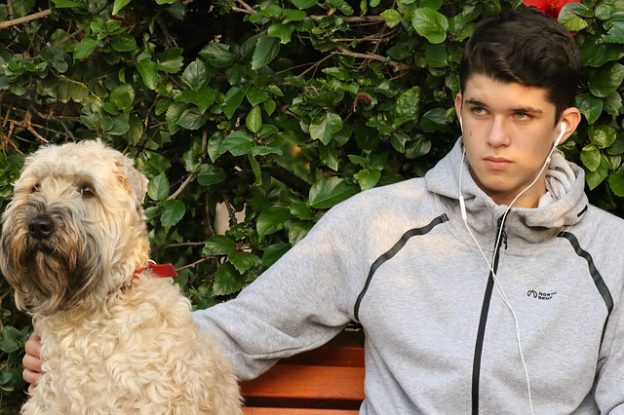 Webinar – 7/29/21 – The Adolescent Period of Development and Its Implications for Behavior/Dog-Owner – PPG (fee applies)