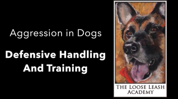 Online Course – 12/4/21 to 12/5/21 – Aggression in Dogs Workshop – Loose Leash Academy (fee applies)