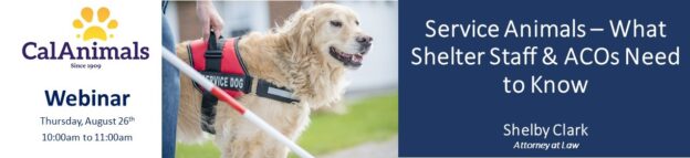 Webinar – 8/26/21 – Service Animals: What Shelter Staff & ACOs Need to Know – CalAnimals