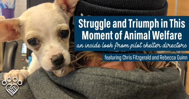 Webinar – 8/10/21 – Struggle and Triumph in this Moment of Animal Welfare: An Inside Look from Pilot Shelter Directors – HASS