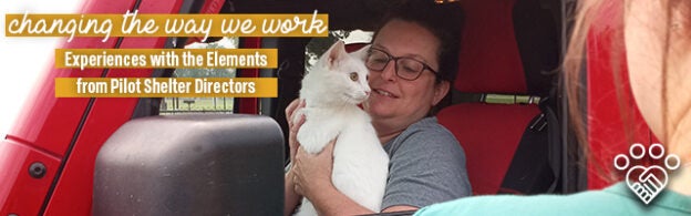 Webinar – 8/26/21 – Changing the Way We Work: Experiences with the Elements from Pilot Shelter Directors – HASS