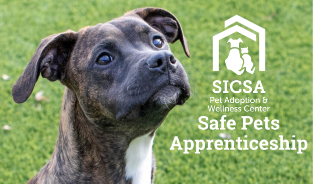 Online Apprenticeship – Application Deadline 8/20/21 – SICSA Safe Pets Apprenticeship – SICSA