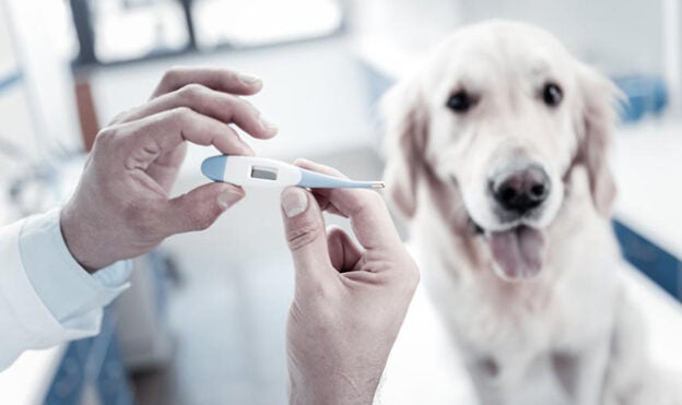 Webinar – 9/16/21 – Hypothermia—What’s the Hype? – Think Anesthesia