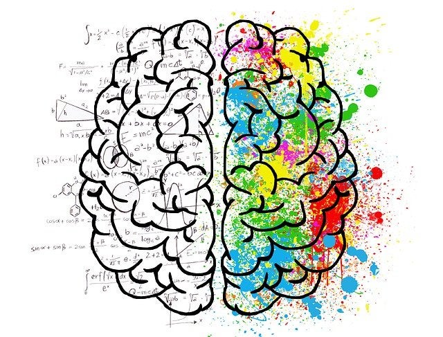 illustration of the human brain