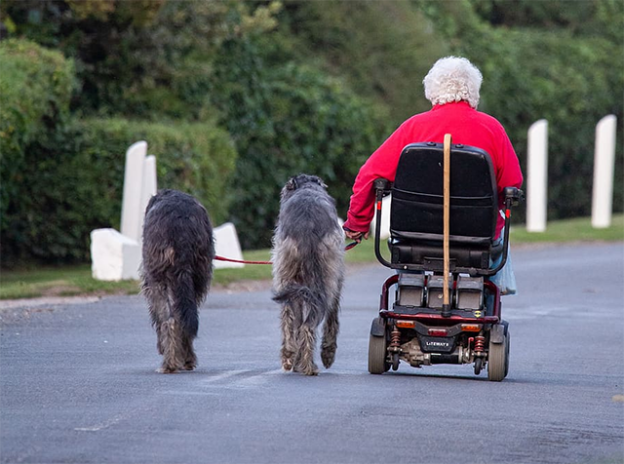 Webinar – 8/19/21 – Jennifer Kolar – Train the Person in Front of You: Make Your Training Accessible – FDSA (fee applies)