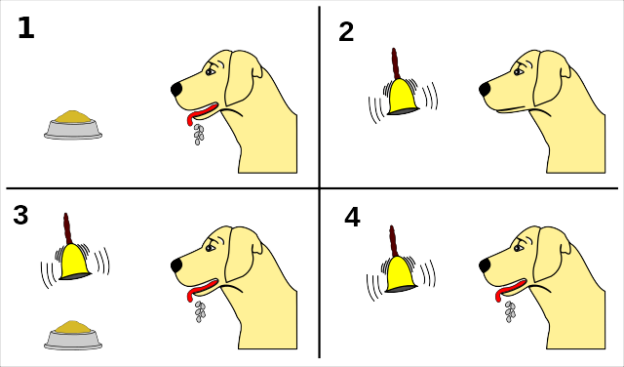 Webinar – 10/27/21 – The Power of Pavlov. Presented by Dr. Karolina Westlund – PPG (fee applies)