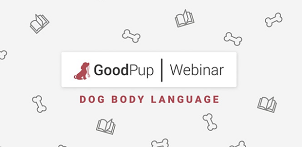 Webinar – 10/7/21 – GoodPup Webinar: Body Language – How to read and communicate with our dogs – GoodPup