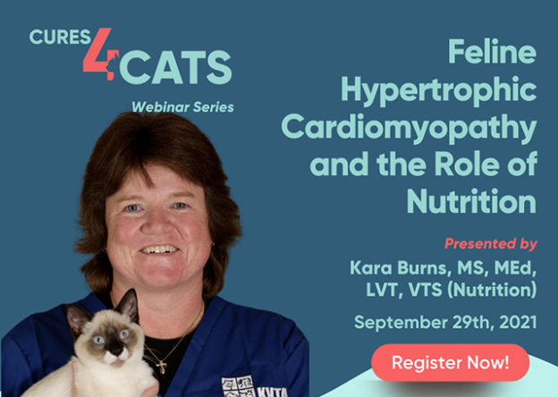 Webinar – 9/29/21 – Cures4Cats Webinar Series – “Feline HCM and the Role of Nutrition” – EveryCat Health Foundation