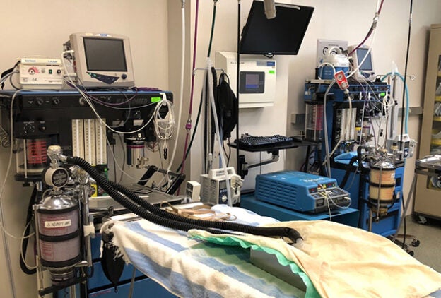 Webinar – 10/19/21 – All I Need to Know About Anesthesia Machines and Breathing Systems – VETGirl (fee applies)