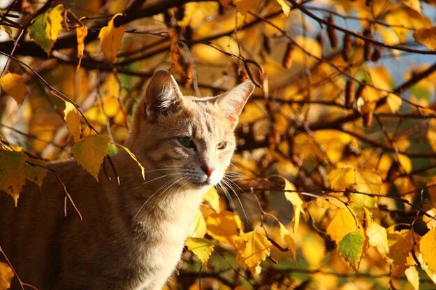 Two On-Demand Webinars to Watch Right Now