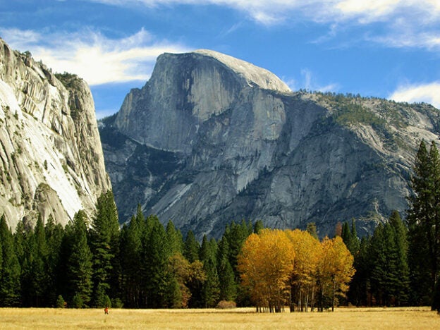 Seminar – 3/11/22 to 3/13/22 – CVMA Spring Seminar in Yosemite – CVMA (fee applies)