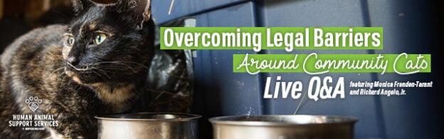 Webinar – 11/4/21 – Overcoming Legal Barriers About Community Cats: Live Q&A – HASS