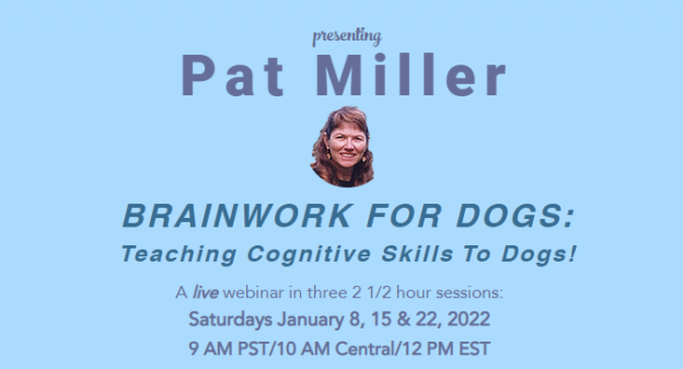 Webinar – 1/8/22, 1/15/22, and 1/22/22 – Brainwork for Dogs: Teaching Cognitive Skills! – Puppyworks (fee applies)